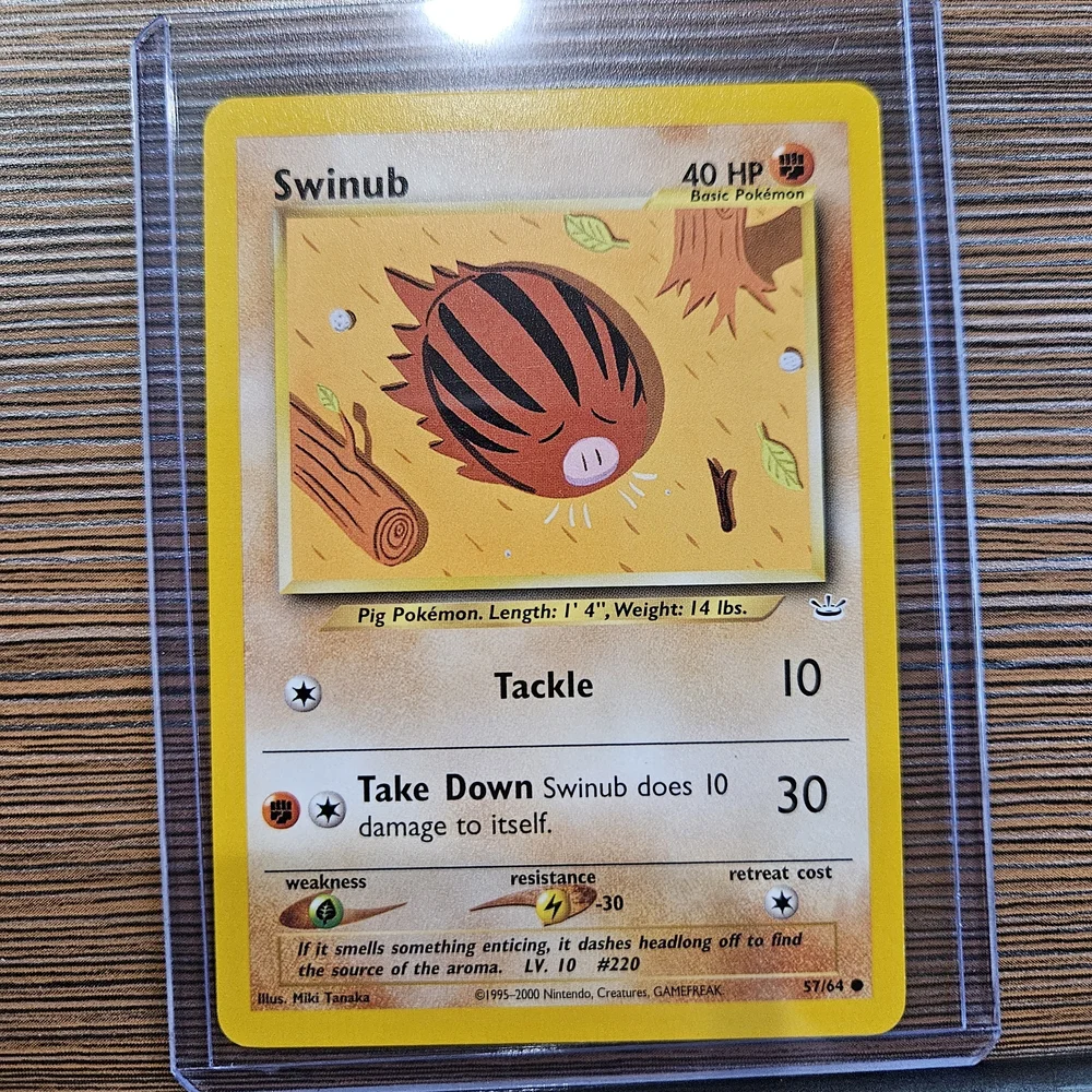 Swinub 57/64 Neo Revelation Pokémon Card